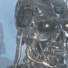 Skynet Terminator